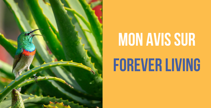 Mon avis sur Forever Living Products